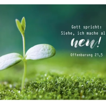 Jahreslosung 2026: Gott spricht: Siehe, ich mache alles neu! (Offenbarung 21, 5)
