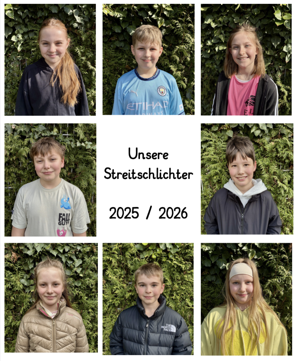 2025 - 2026 Image