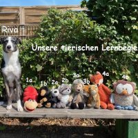bersicht_Klassentiere